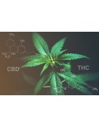 Analyse cbd